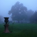 FVCW (34)-Weicht-Ulrich